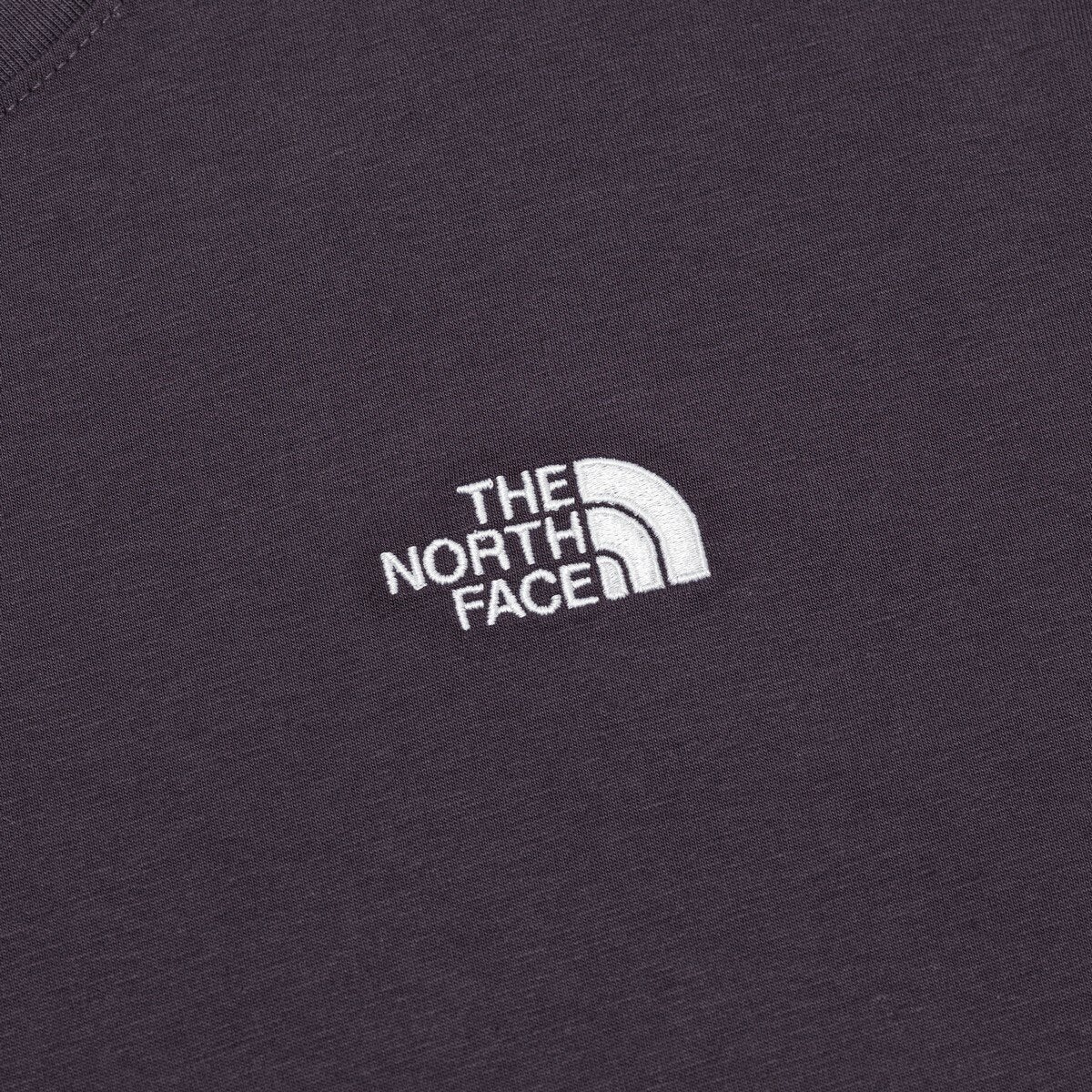 The North Face Evolution Simple Dome 男短袖上衣 紫
