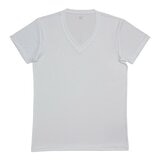 Mizuno 男V領短袖上衣 2入組 白 Mizuno 男V領短袖上衣 2入組 白