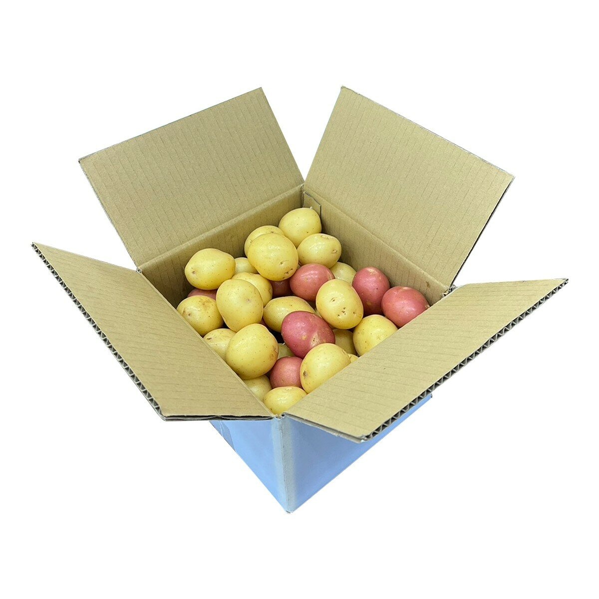 澳洲彩色馬鈴薯 6公斤/ 70-85入