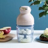 Recolte 食物調理機 RCP-3