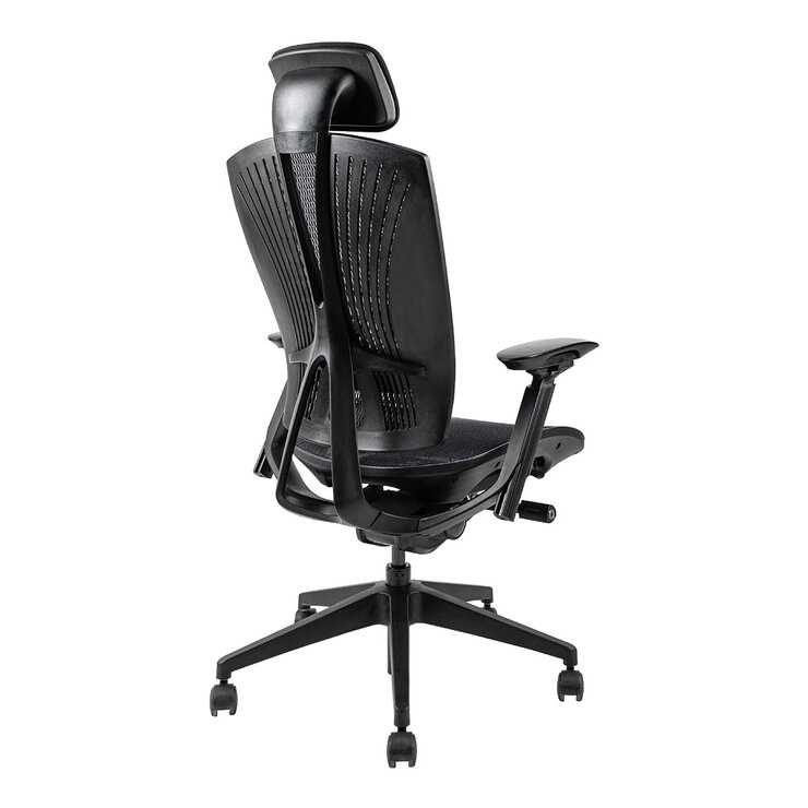 Backbone Whale 抹香鯨座人體工學旗艦椅 海洋友善款