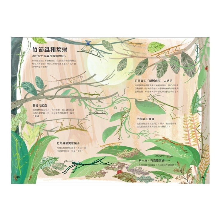 經典科普自然大書:蟲蟲大書+野獸大書+海洋大書