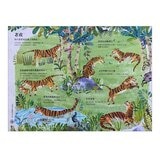 經典科普自然大書:蟲蟲大書+野獸大書+海洋大書