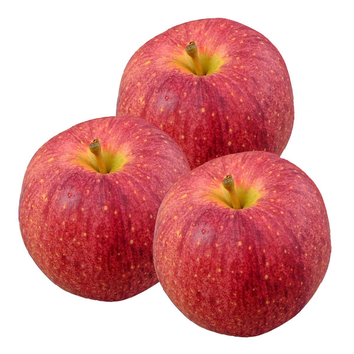 日本陽光富士蘋果 2.4公斤