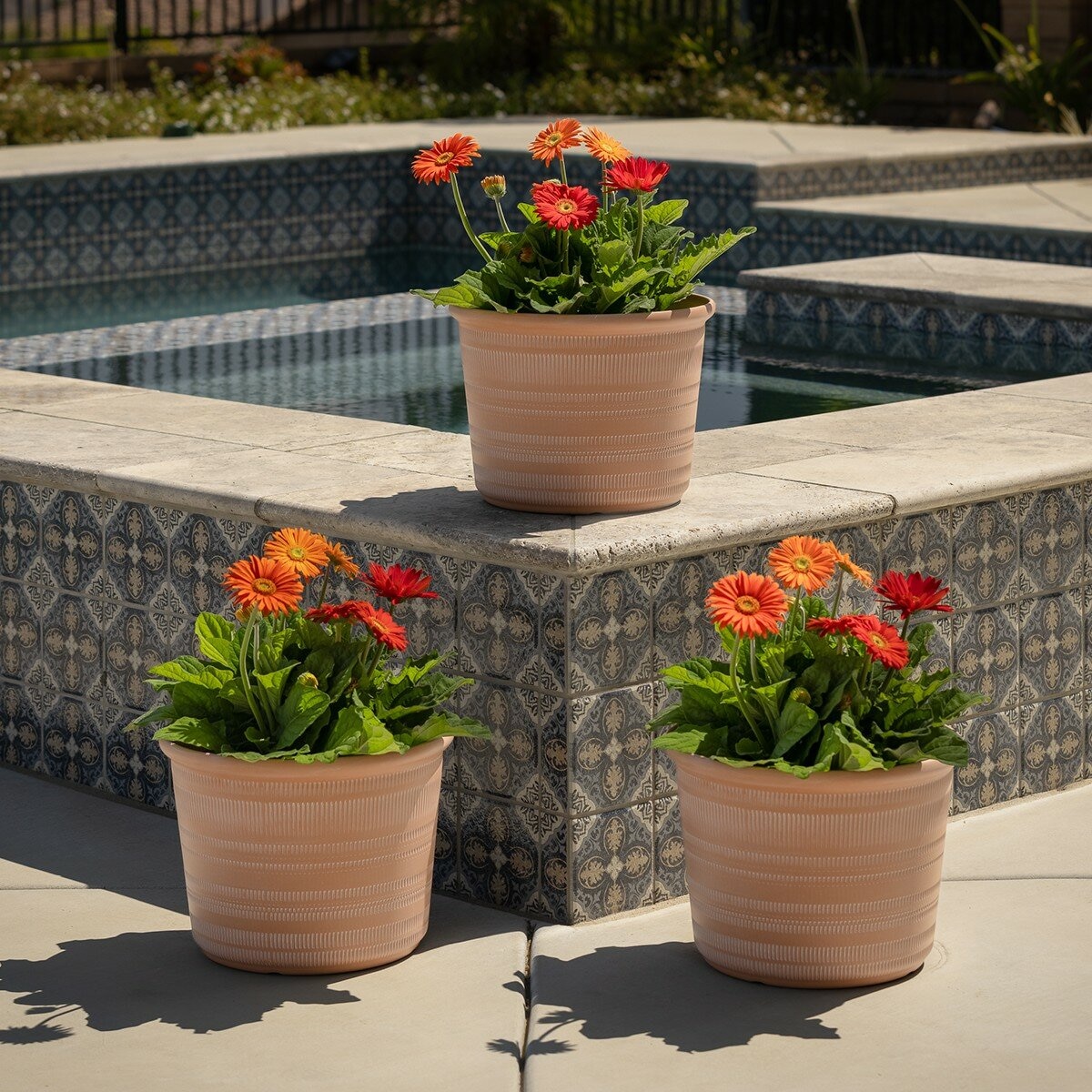 塑膠花盆 3件組 橘色