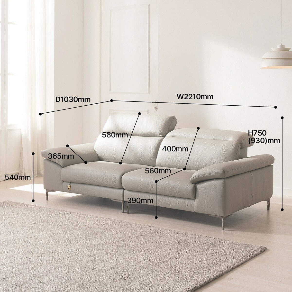 Dauning Agio 全牛皮雙人沙發