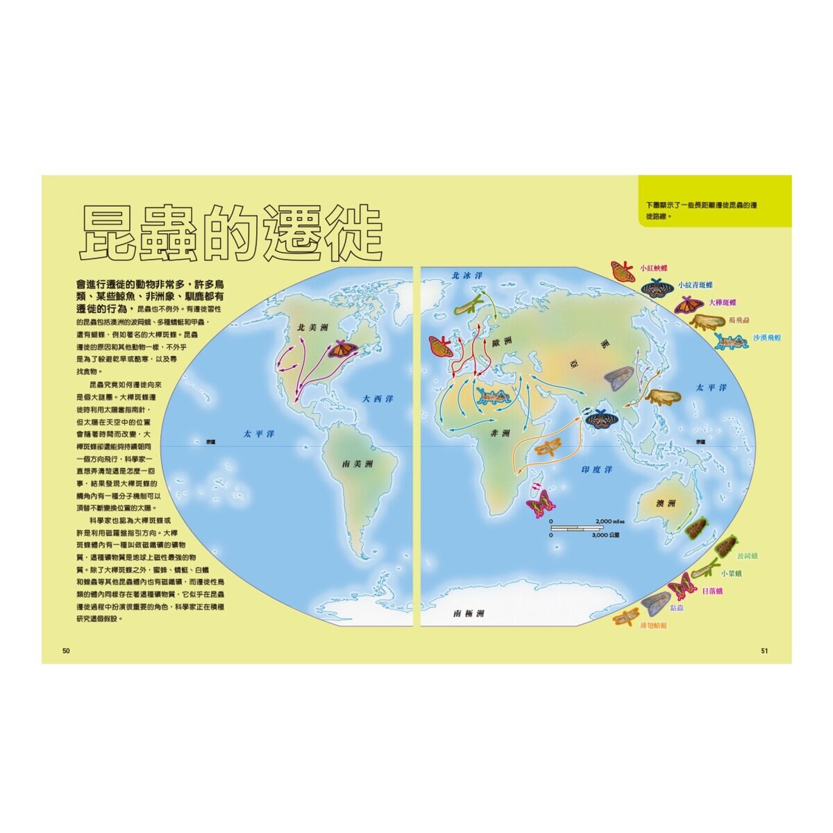 國家地理終極昆蟲百科：史上最完整的昆蟲大全 新版
