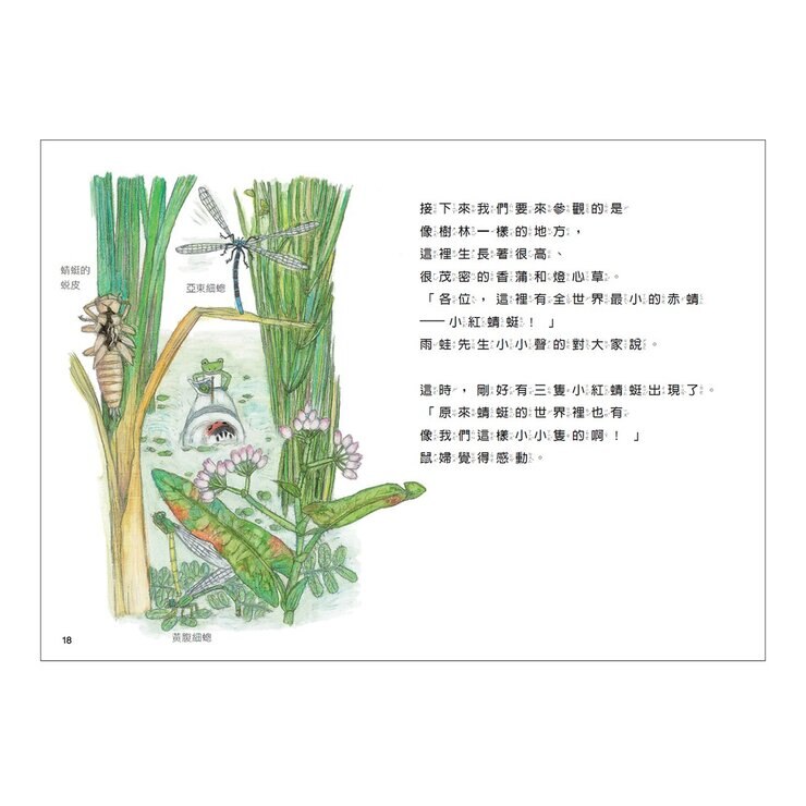 松岡達英雨蛙生態旅行團（共３冊）：池塘＋空中＋地下
