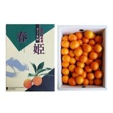 日本鹿兒島金柑禮盒 2公斤