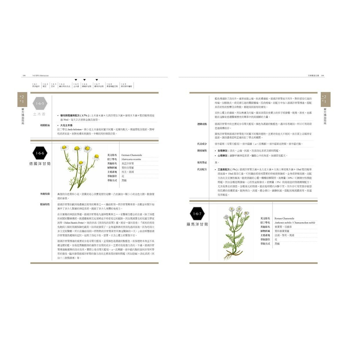 芳療實證全書：從分子到精油、從科學到身心靈，成為專業芳療師的必備聖經【暢銷10週年紀念版】