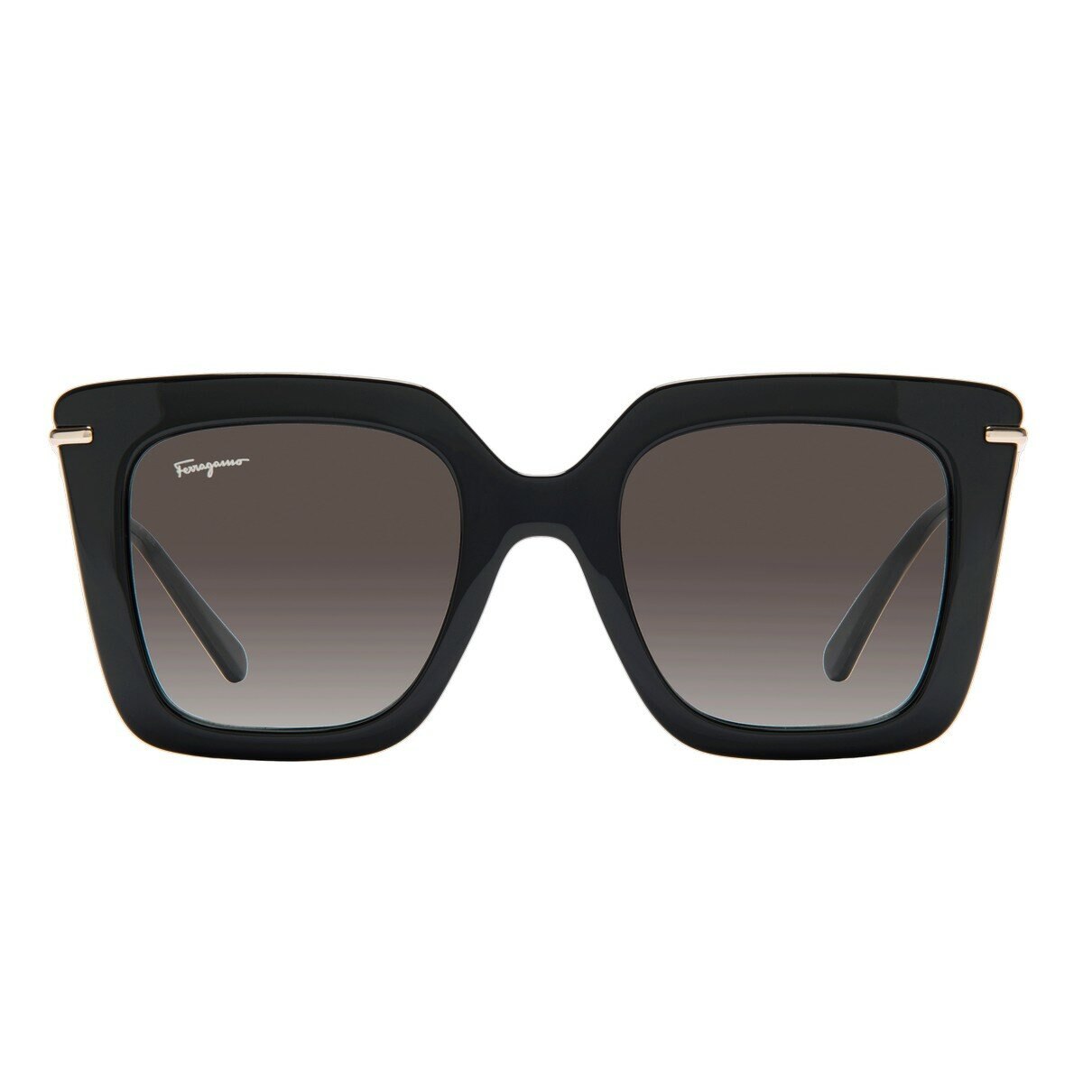 Ferragamo 太陽眼鏡 SF1041S 001 黑色