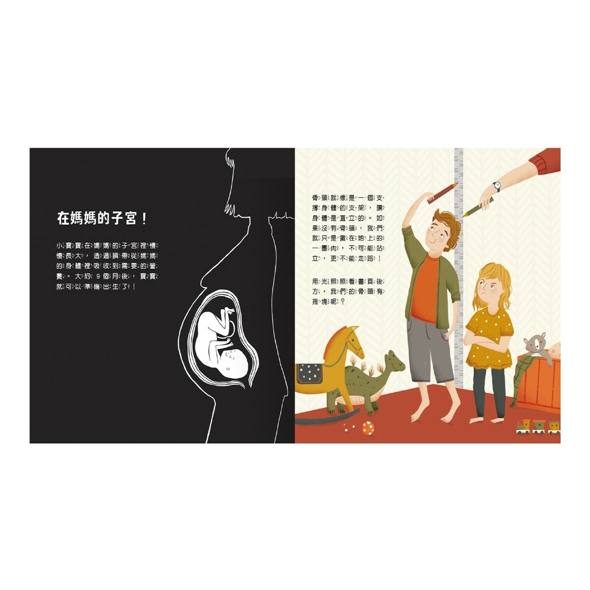 登登登！透光 Show系列(共6冊):點亮夜晚世界！+創造神奇發明！+動物的偽裝術！+神秘恐龍來囉！+照照人體 x 光+海洋生物來囉！