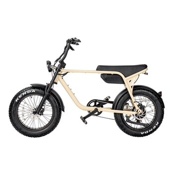 ZAU EB-500 電輔車