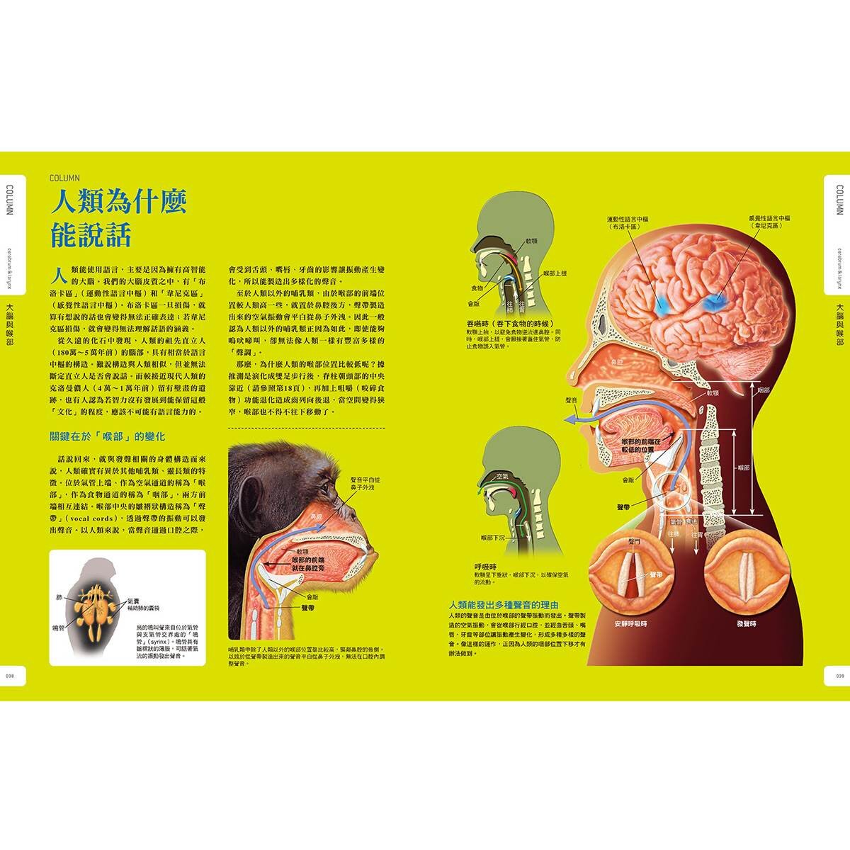 Galileo科學大圖鑑套書人體篇：人體大圖鑑 +肌肉大圖鑑 (共二冊)
