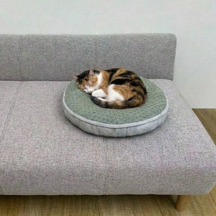 日式寵物床