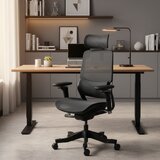 ERGOKING S5 人體工學椅 黑框黑網