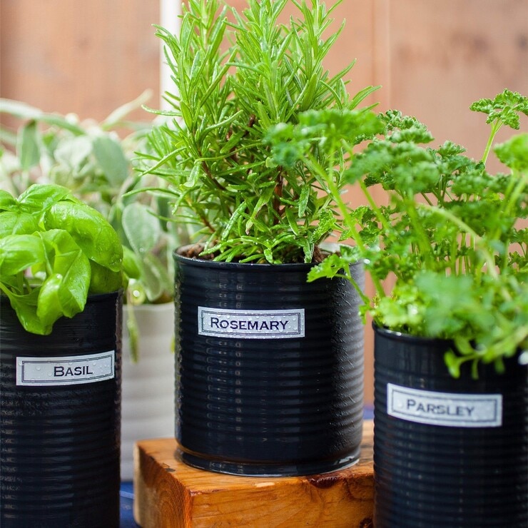 Brother 輕巧手持式標籤機 PT-H110