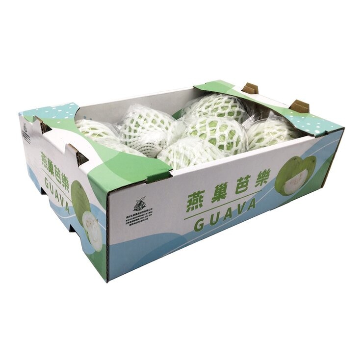 產銷履歷 燕巢珍珠芭樂 3公斤