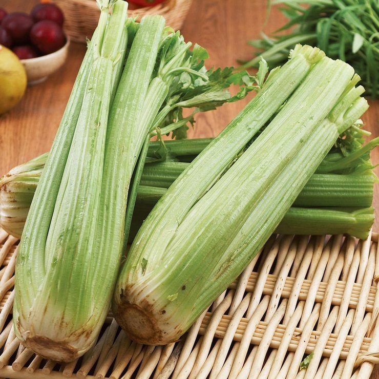 美國西洋芹菜 950公克 美國西洋芹菜 950公克