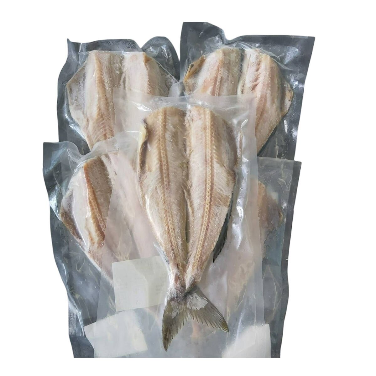  冷凍花魚一夜干 X 5片