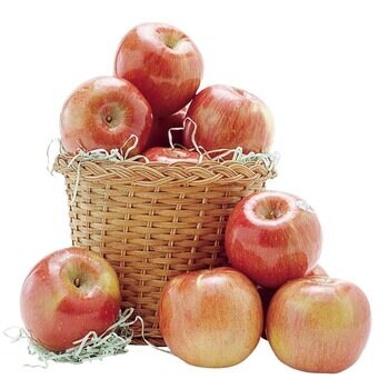智利富士蘋果 2.4公斤