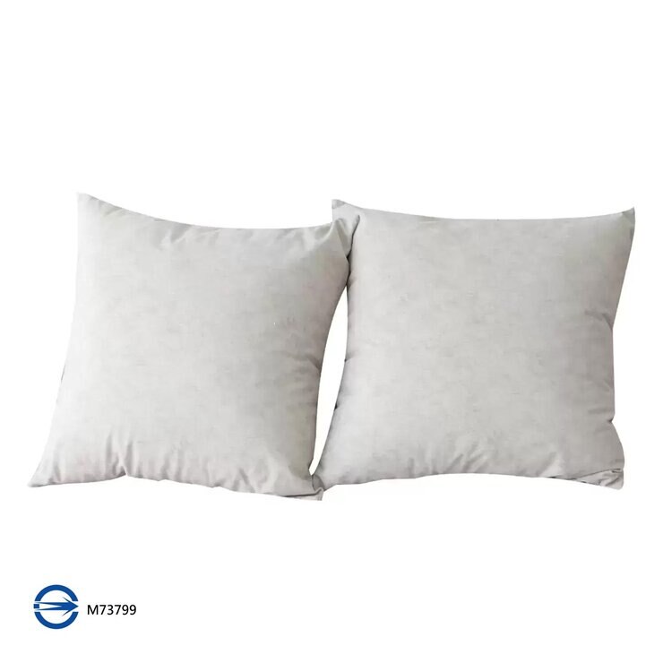 CASA 嚴選素柔抱枕 2入組 45公分 X 45公分 米