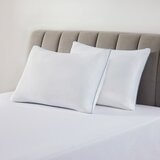 Downlite 涼感舒眠枕 2入 51公分 X 71公分