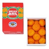 日本溫室愛知縣蒲郡蜜柑禮盒 1.2公斤