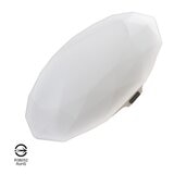歐司朗 晶燦 40W 吸頂燈 白光