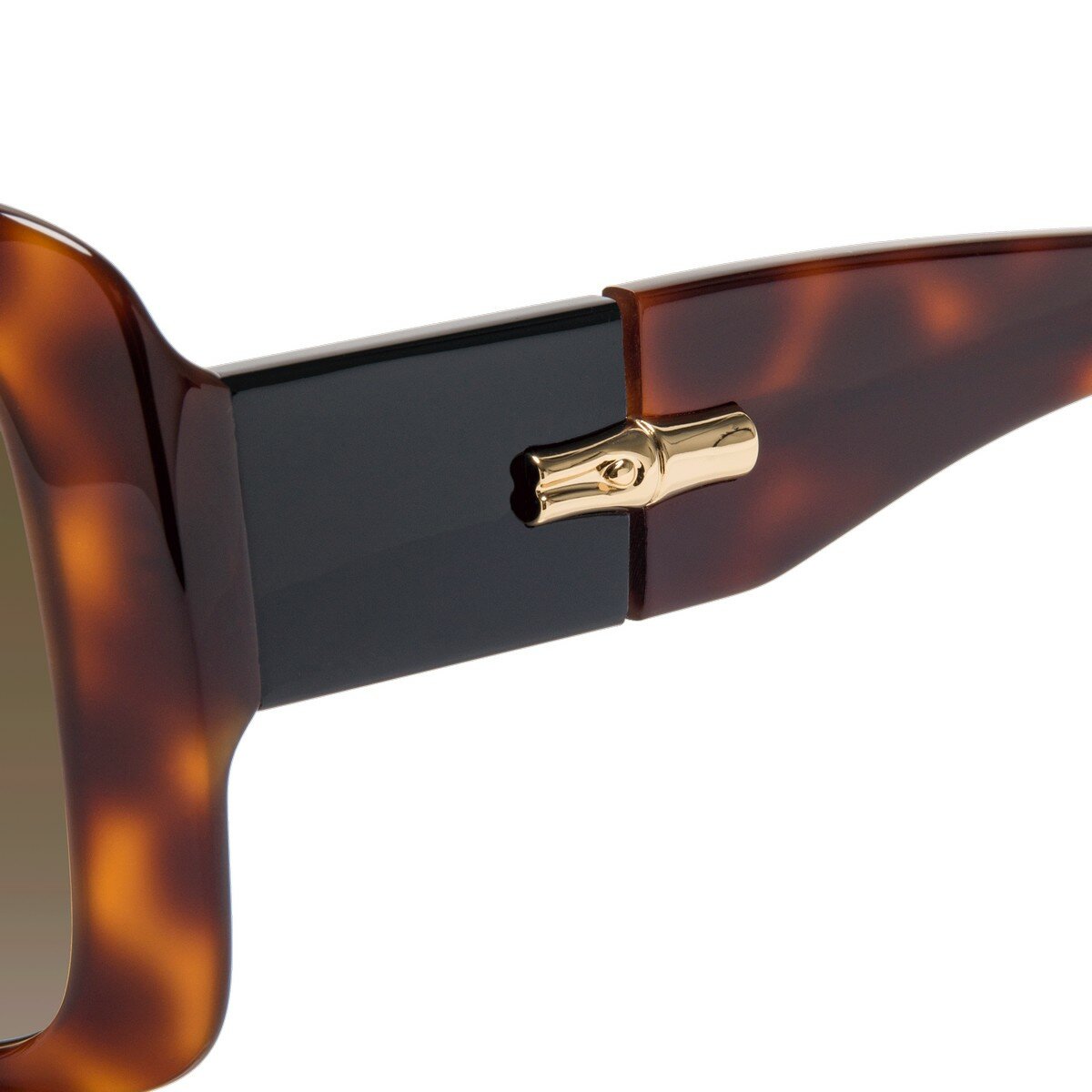 LONGCHAMP 太陽眼鏡 LO713S 230 玳瑁色