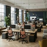 ERGOKING S5 人體工學椅 黑框橘網