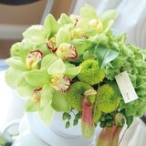 台北花苑 翡翠藝境