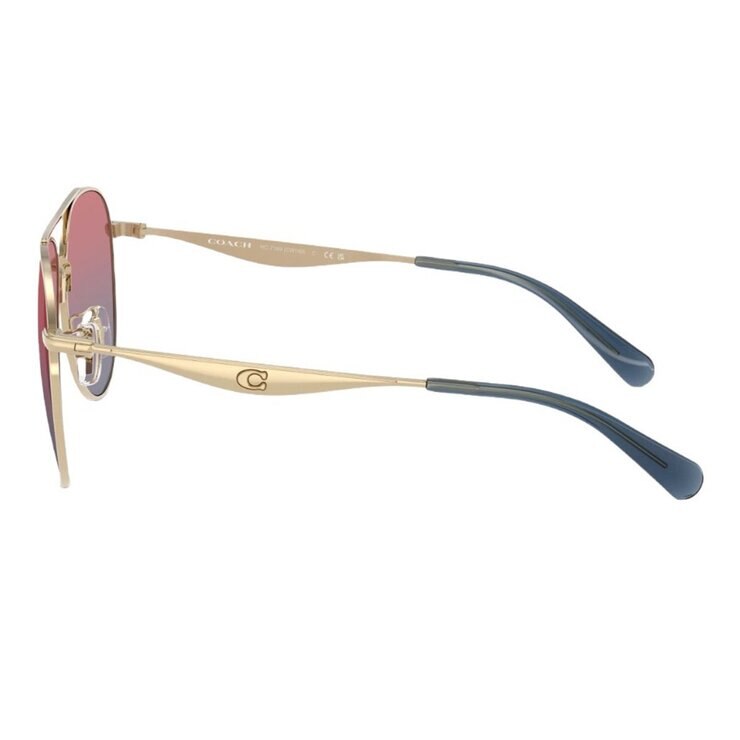 COACH 太陽眼鏡 0HC7169 90050Q 金色