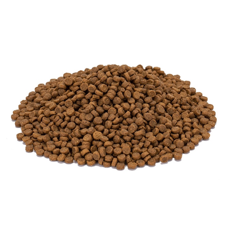 科克蘭 雞肉&米配方乾貓糧 11.34公斤