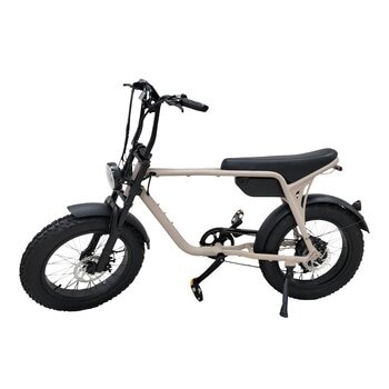 ZAU EB-500 電輔車