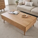 Finlandia Marrone 可收納茶几