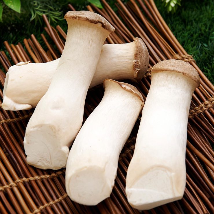 有機杏鮑菇 900公克