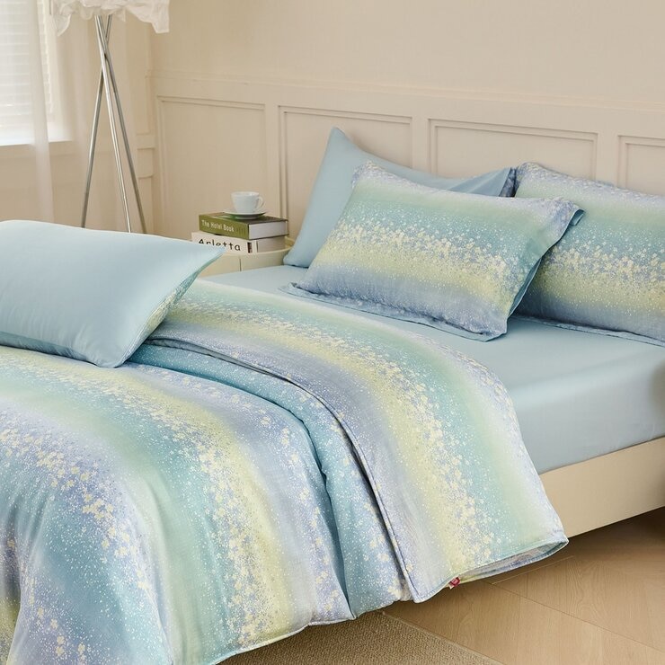 Don Home 萊賽爾雙人兩用被套6件組 星綻