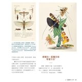 蟲之道：昆蟲的構造、行為和習性訴說的生命史詩