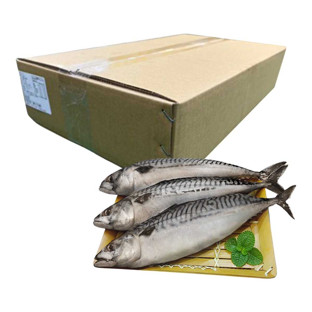 冷凍薄鹽白腹鯖魚 4公斤 冷凍薄鹽白腹鯖魚 4公斤