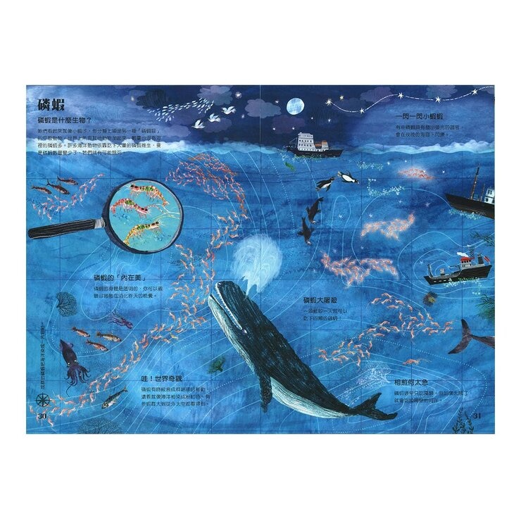 經典科普自然大書:蟲蟲大書+野獸大書+海洋大書