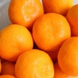 日本溫室佐賀縣蜜柑禮盒 1.2公斤