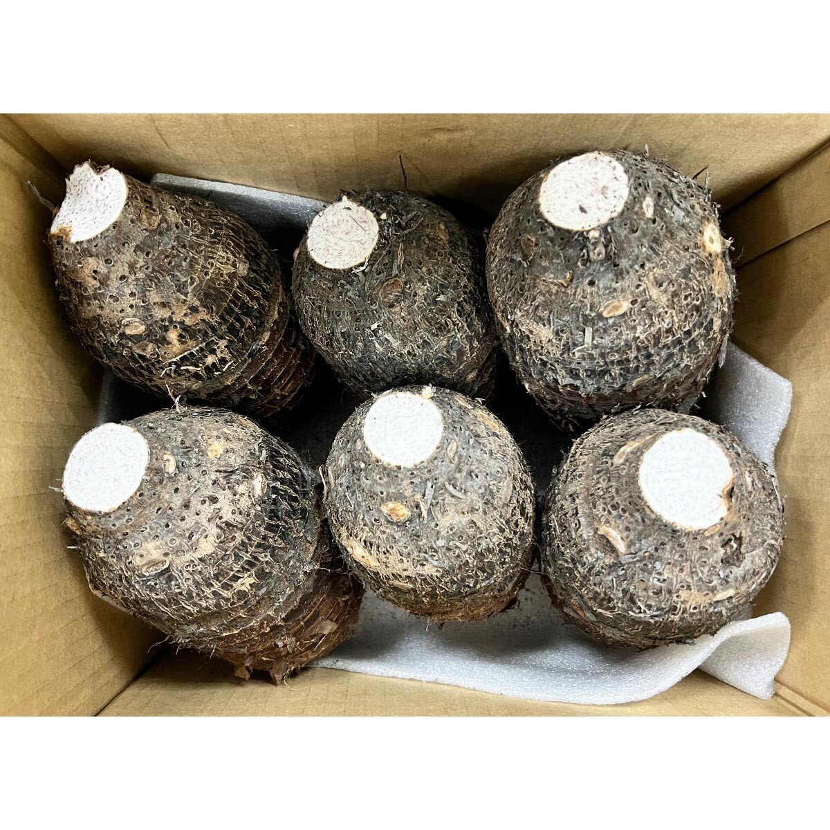 產銷履歷芋頭 5公斤 產銷履歷芋頭 5公斤