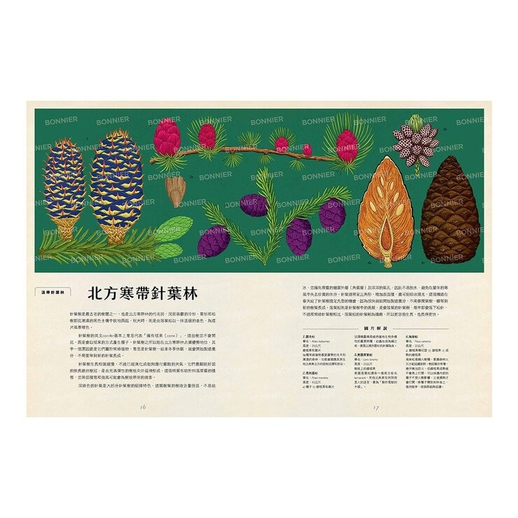 樹木博物館【台灣獨家封面版】