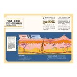 手機腦與運動腦 + 人體 (2冊)