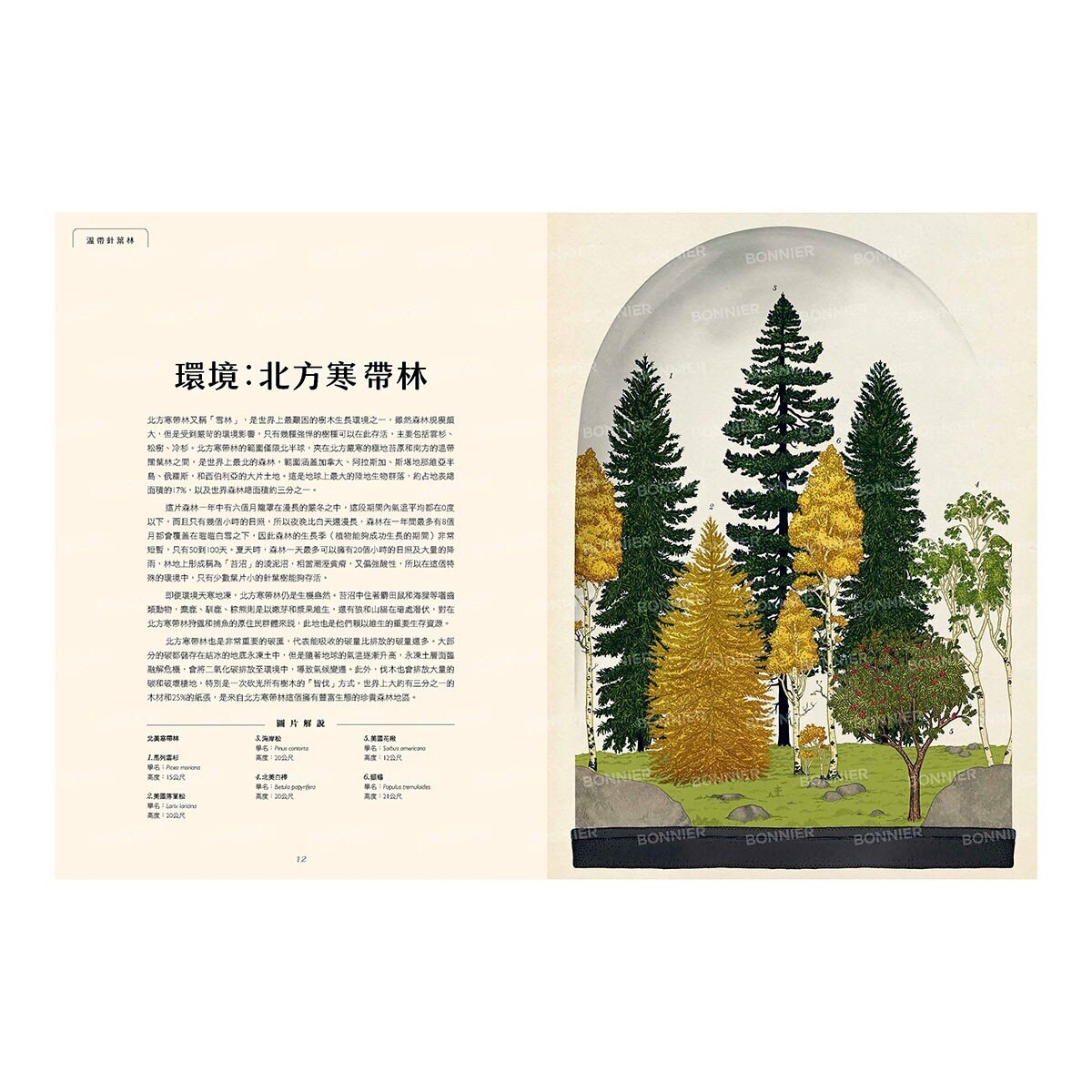 樹木博物館【台灣獨家封面版】