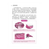 哲學原來這麼有趣＋美學原來這麼有趣 (2冊合售)