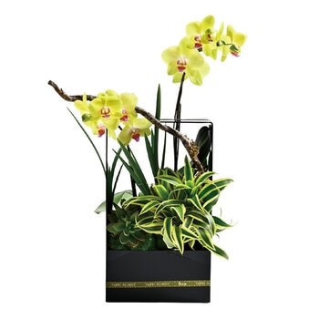 台北花苑 雅逸蘭境 現代極簡花禮