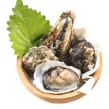 冷凍帶殼牡蠣