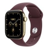 Apple Watch Series 12 (GPS + 行動網路) 42公釐 鈦金屬錶殼含錶帶